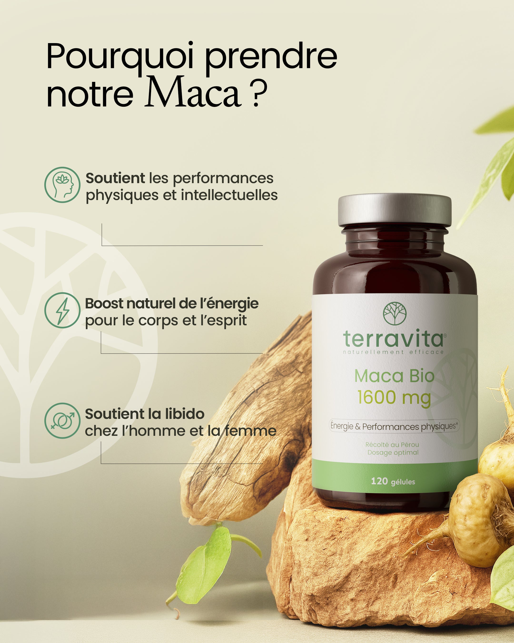 Maca bio